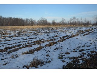 Property photo 40 - FARMLAND AUCTION, 60+/- Acres in 6 Tracts ranging from 4 to 20 acres & in combinations!